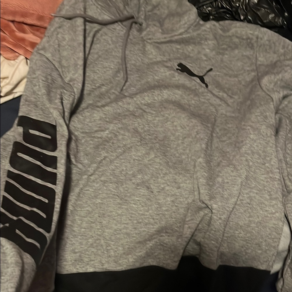 Puma Men's Gray Hoodie